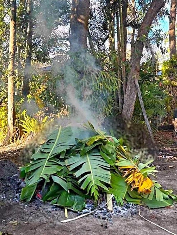 KAPMAURI